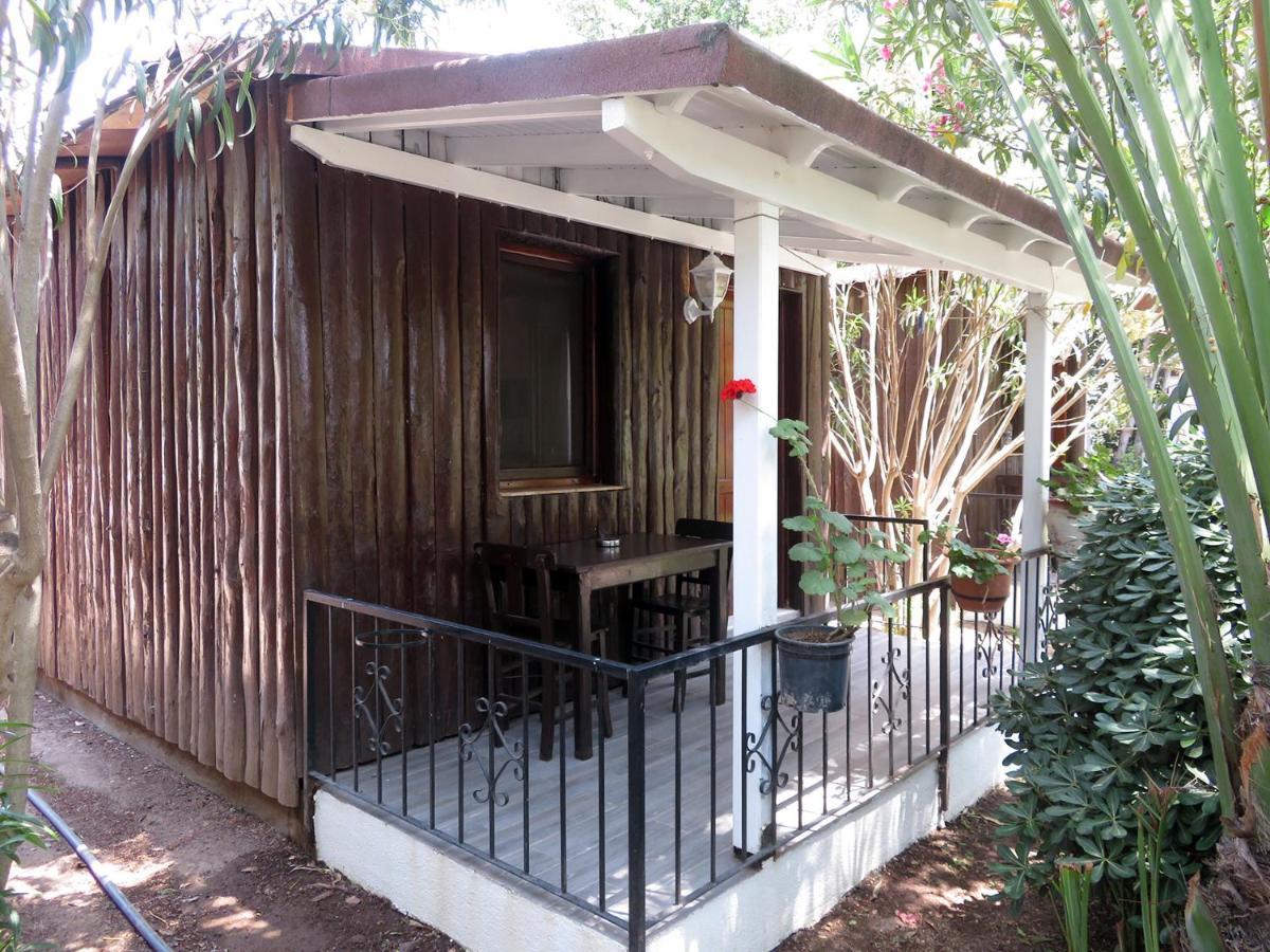 Arriba Pension & Restaurant Gümüşlük Ngoại thất bức ảnh