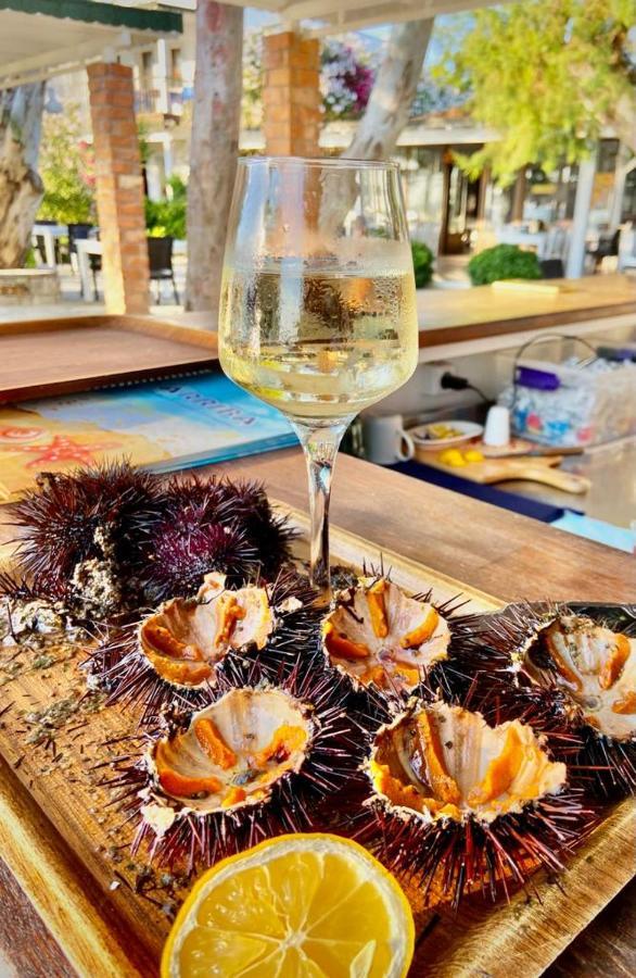 Arriba Pension & Restaurant Gümüşlük Ngoại thất bức ảnh