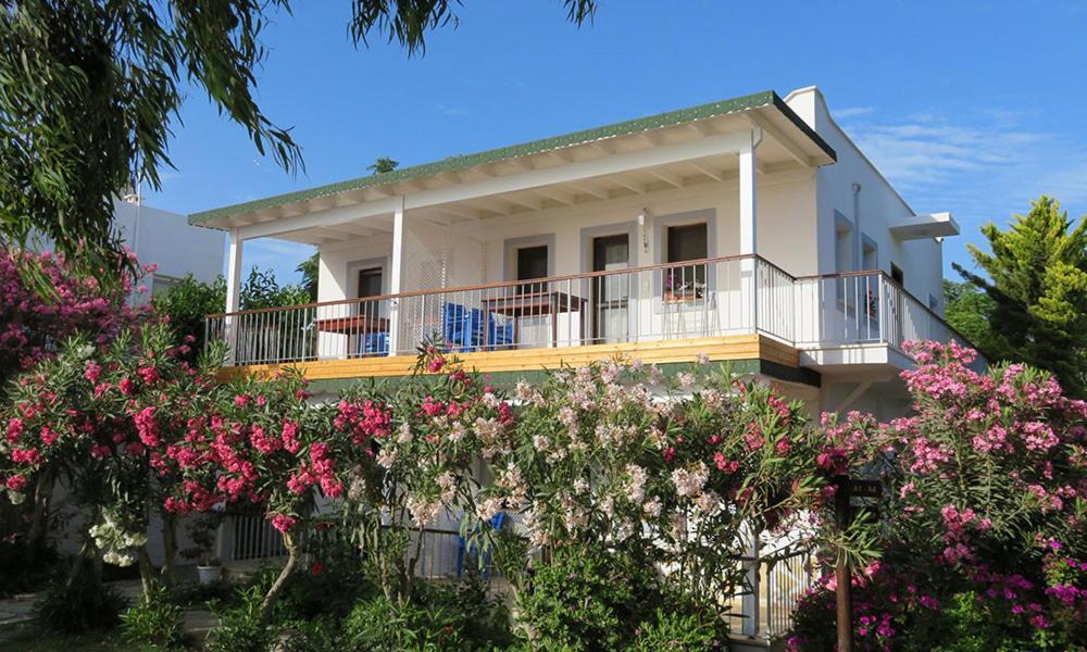 Arriba Pension & Restaurant Gümüşlük Ngoại thất bức ảnh