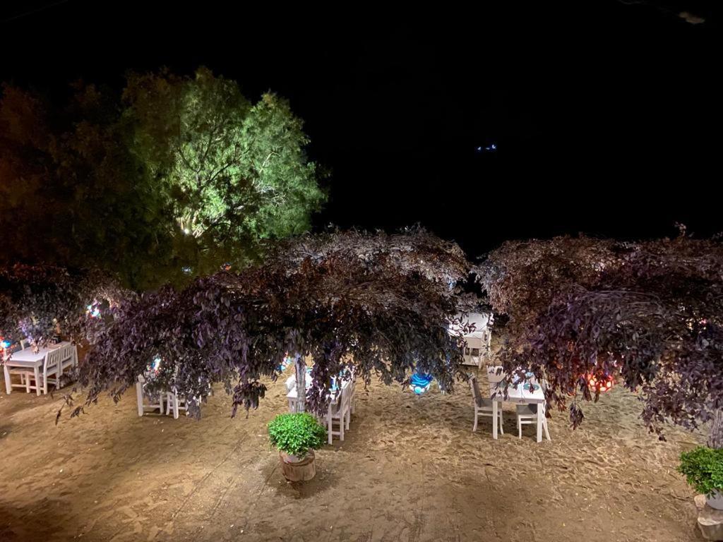 Arriba Pension & Restaurant Gümüşlük Ngoại thất bức ảnh