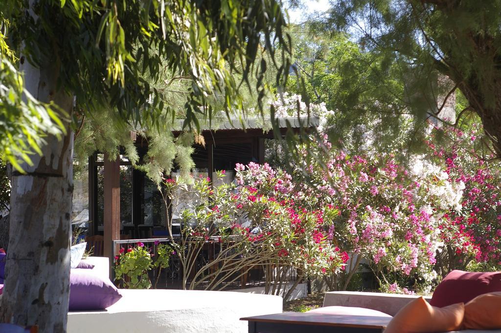 Arriba Pension & Restaurant Gümüşlük Ngoại thất bức ảnh