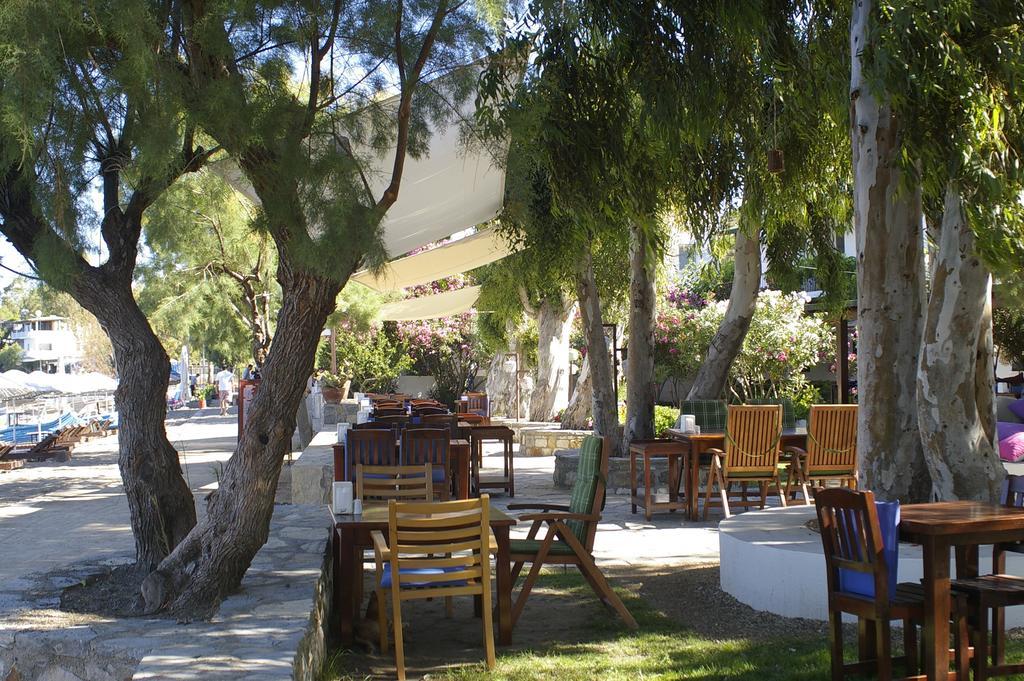 Arriba Pension & Restaurant Gümüşlük Ngoại thất bức ảnh