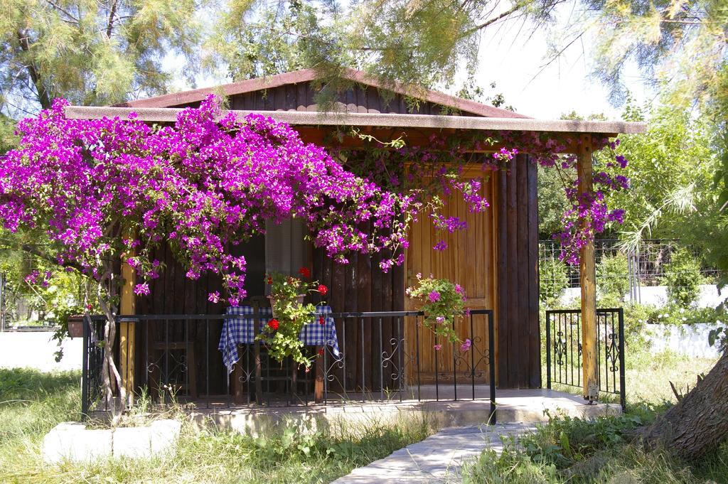 Arriba Pension & Restaurant Gümüşlük Ngoại thất bức ảnh
