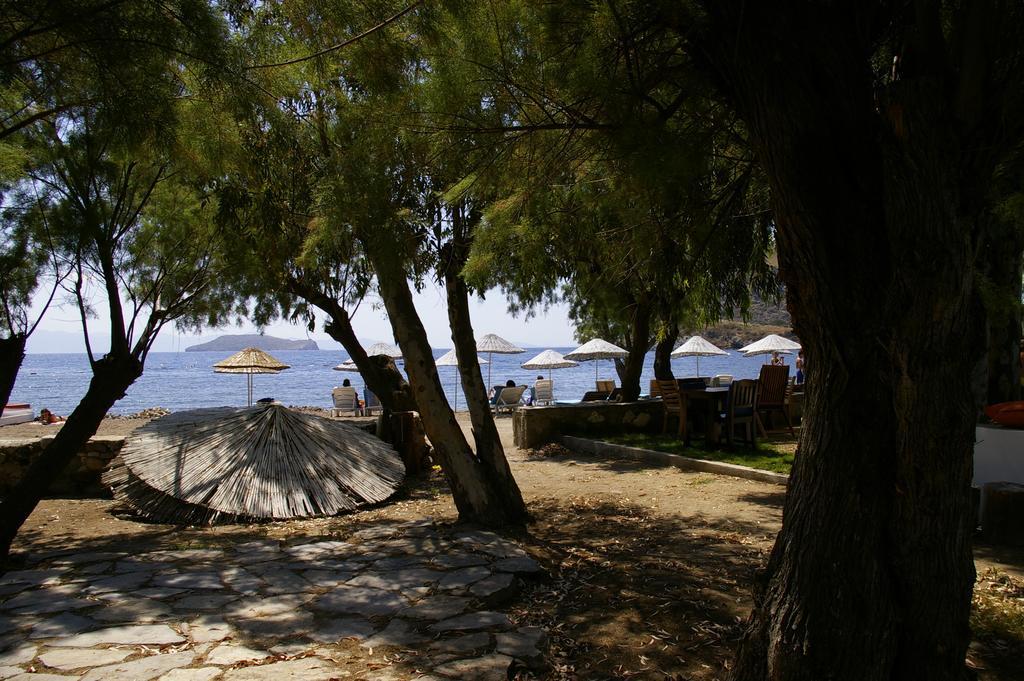 Arriba Pension & Restaurant Gümüşlük Ngoại thất bức ảnh