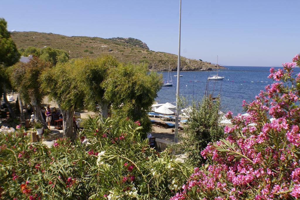 Arriba Pension & Restaurant Gümüşlük Ngoại thất bức ảnh